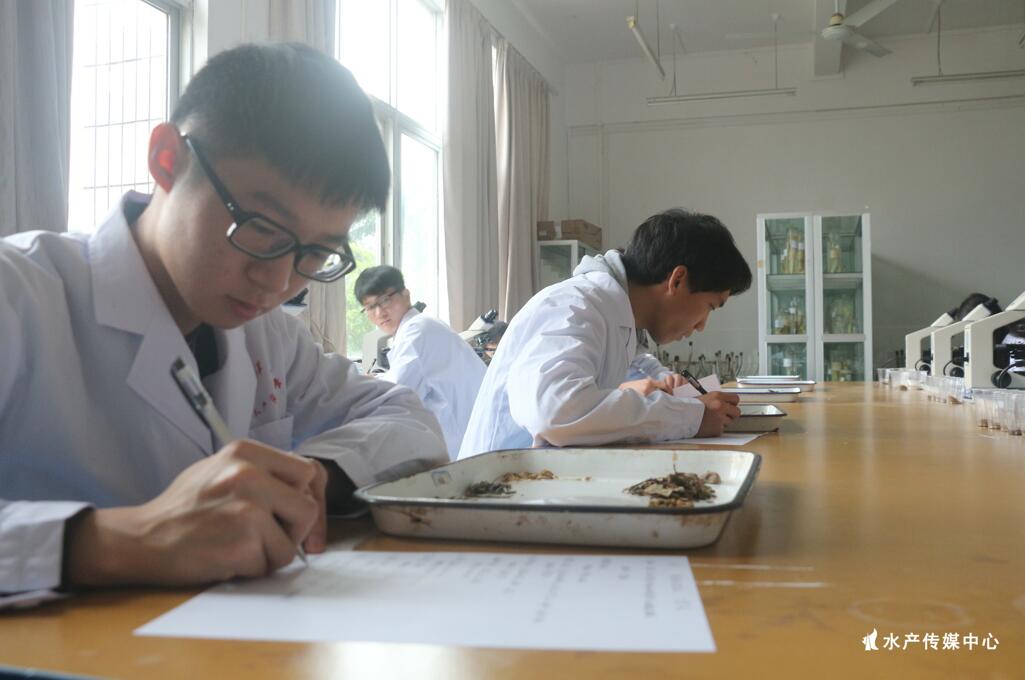 E:\广东海洋大学\水产传媒中心\水产技能大赛\选手们进行紧张比赛.jpg E:\广东海洋大学\水产传媒中心\水产技能大赛\选手们进行紧张比赛.jpg